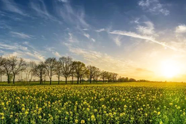 金屬鈍化劑 金屬鈍化劑